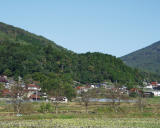 国貞山神社社叢