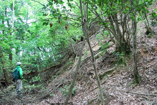 青山城　切岸