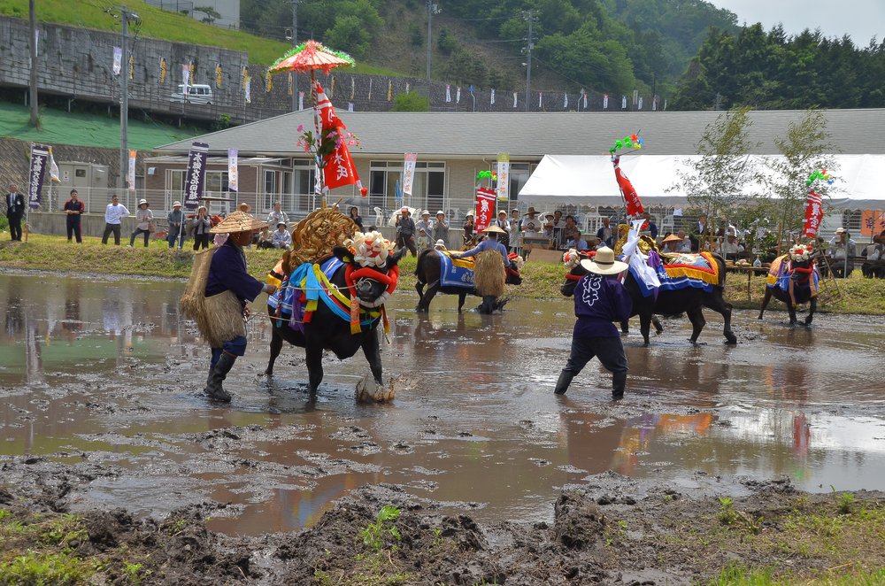 本郷のはやし田飾り牛